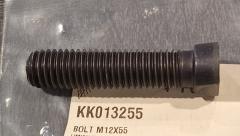 BOLT M12X55